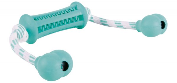 Trixie Denta Fun Stick mit Seil