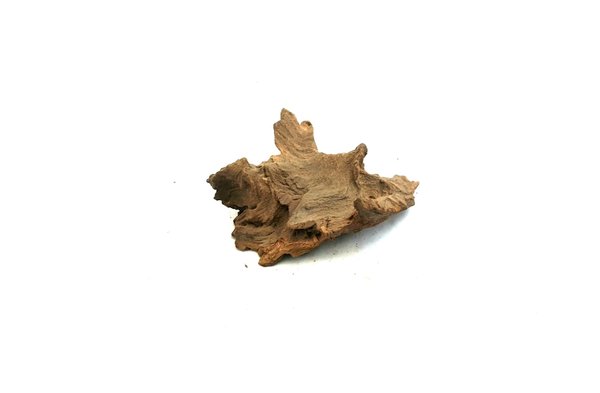 Savannenholz, kugelgestrahlt - S - ca. 10 - 20cm