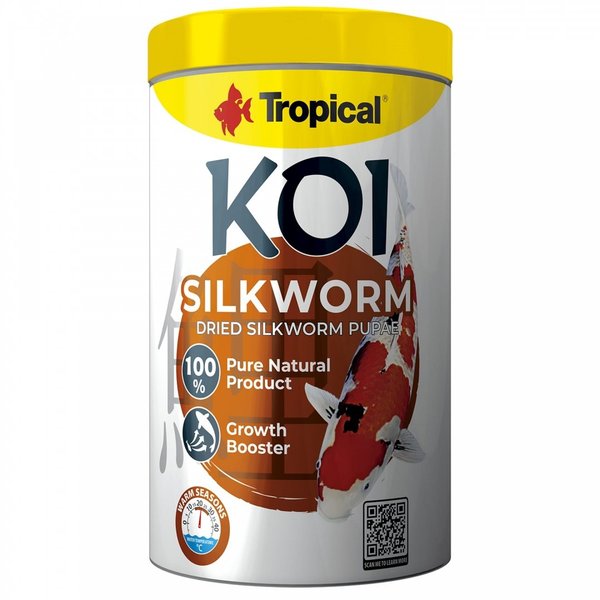 Tropical Koi Silkworm 1L (Seidenraupen)