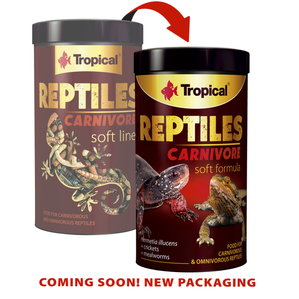 Tropical Reptiles Carnivore Soft Line 1L
